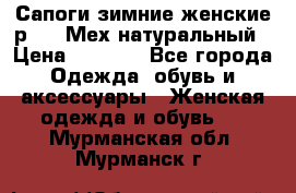 Сапоги зимние женские р.37. Мех натуральный › Цена ­ 7 000 - Все города Одежда, обувь и аксессуары » Женская одежда и обувь   . Мурманская обл.,Мурманск г.